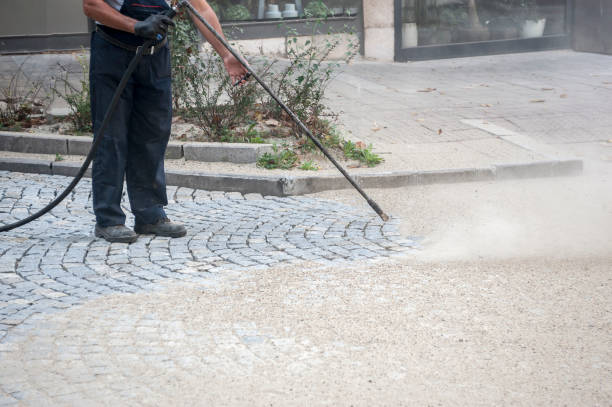 Animal Enclosure Cleaning in Christmas, FL